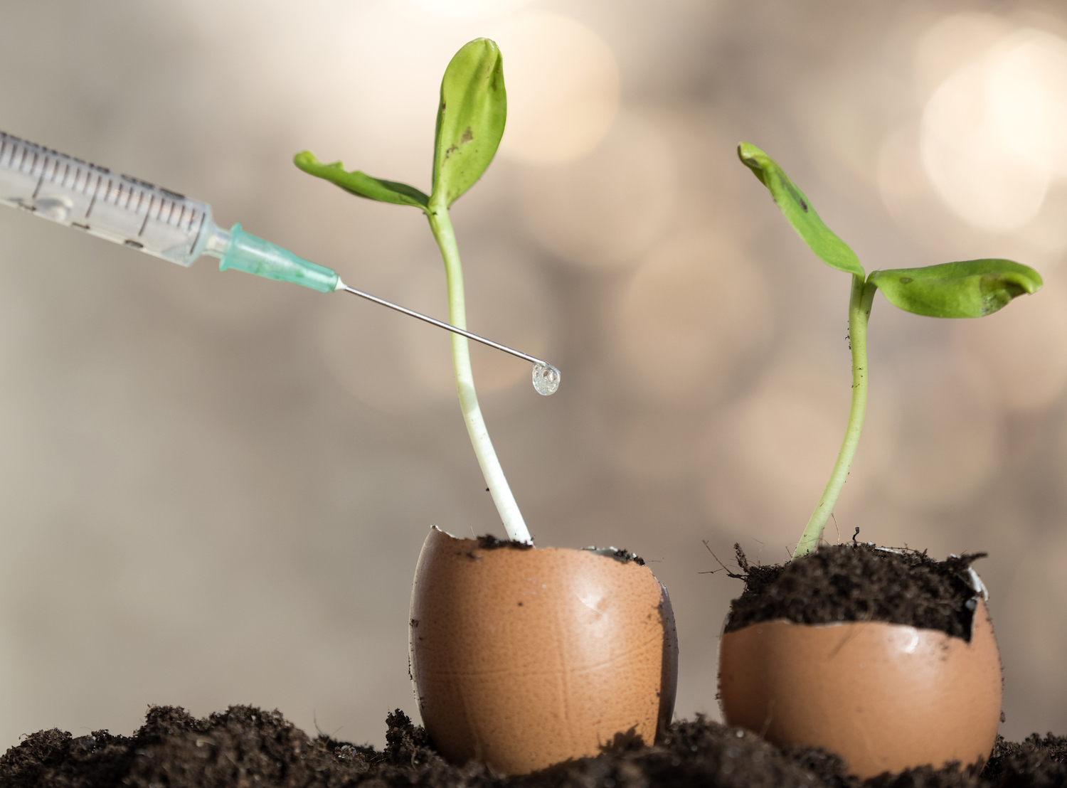 TC+ roundup: Silicon Valley Bank fails, fintech VC survey, B2B growth tools